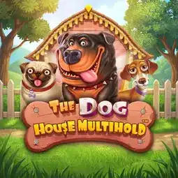 The Dog House Multihold gra w Champion Casino dla graczy z Polski The Dog House Multihold gra w Champion Casino dla graczy z Polski